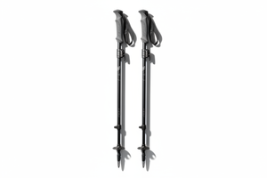 Trekking Poles (Pair)