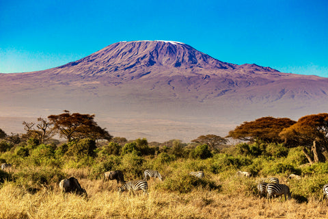 Mt. Kilimanjaro